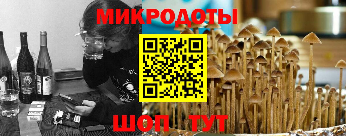 Галлюциногенные грибы Cubensis  Псилоцибиновые грибы Cubensis  Советск  Вход с VPN 